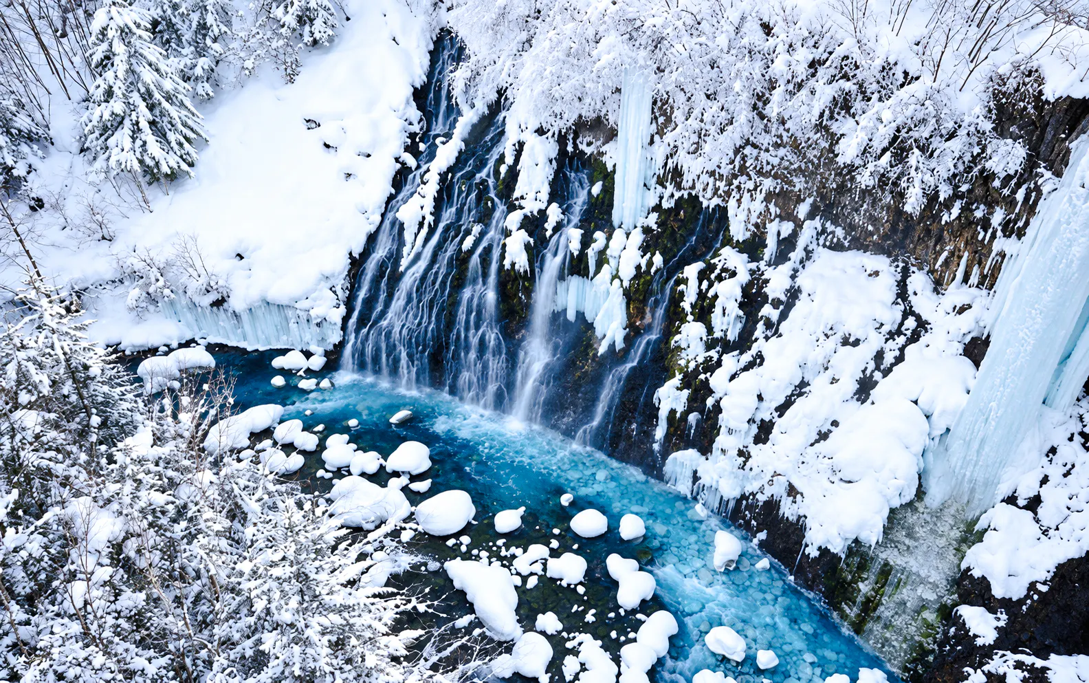 Sapporo: Asahiyama Zoo, Blue Pond & Ningle Terrace Tour
