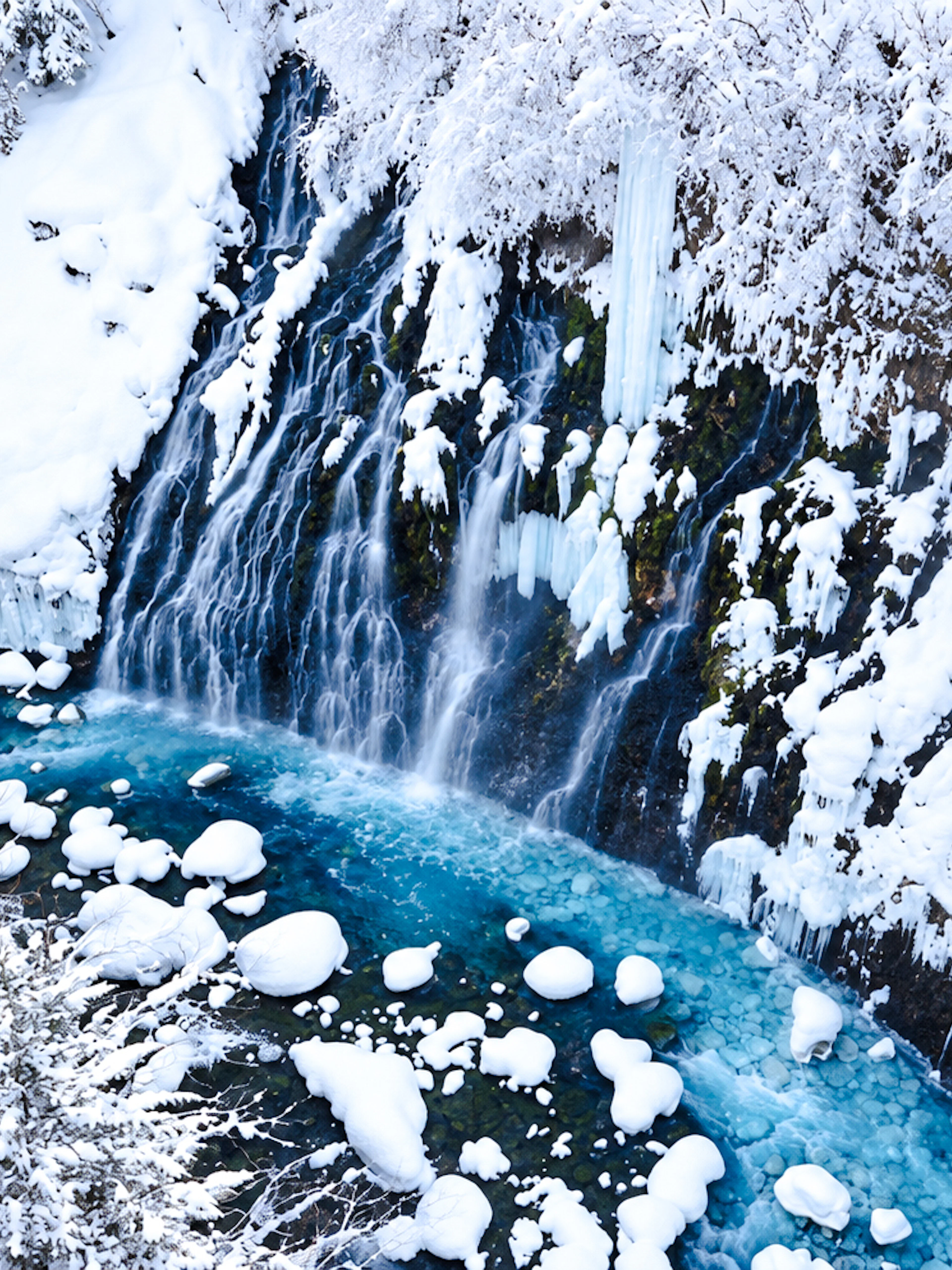 Snow-covered waterfall and blue pond in Hokkaido during the Sapporo: Asahiyama Zoo, Blue Pond & Ningle Terrace Tour.