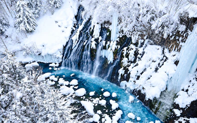 Snow-covered waterfall and blue pond in Hokkaido during the Sapporo: Asahiyama Zoo, Blue Pond & Ningle Terrace Tour.