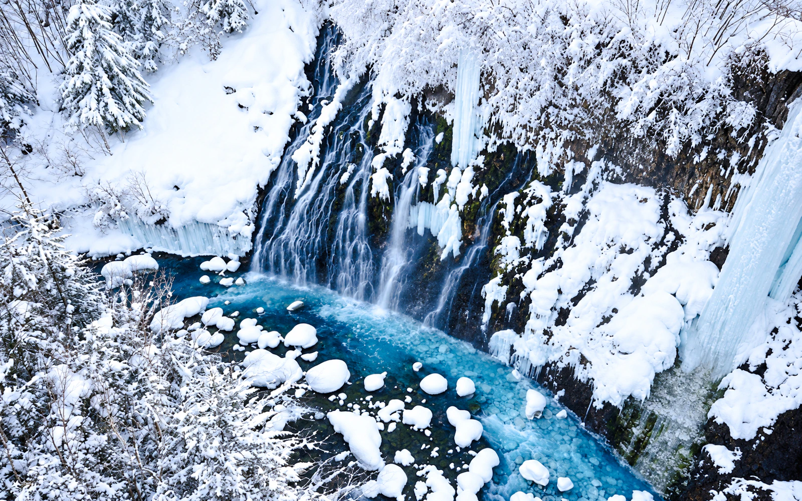 Sapporo: Asahiyama Zoo, Blue Pond & Ningle Terrace Tour