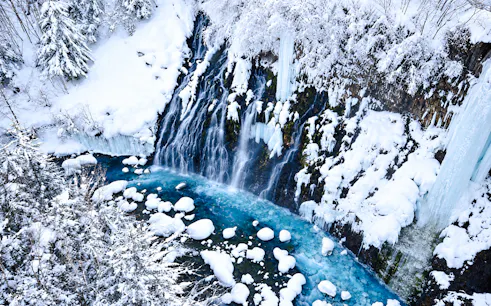 Snow-covered waterfall and blue pond in Hokkaido during the Sapporo: Asahiyama Zoo, Blue Pond & Ningle Terrace Tour.