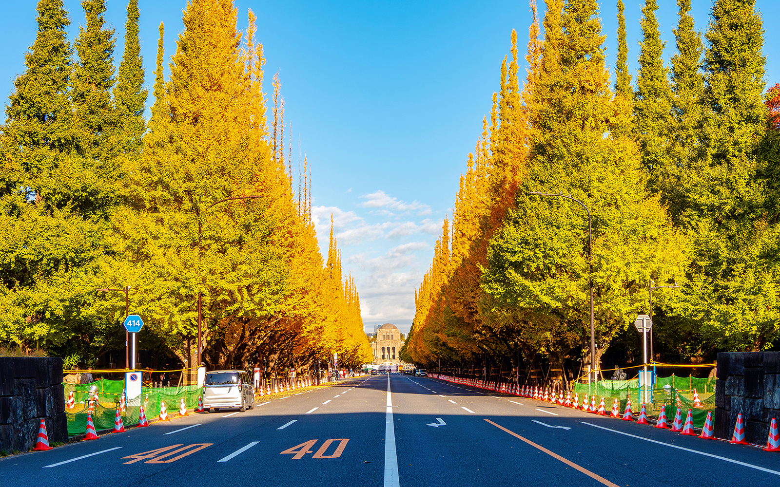 Icho Namiki ginkgo tunnel 