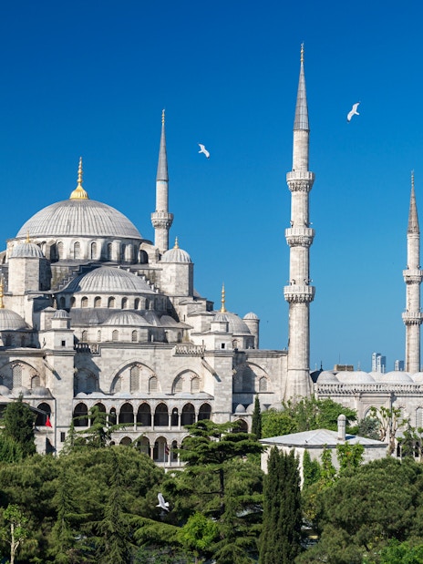 Blue Mosque exterior with minarets in Istanbul, surrounded by greenery.