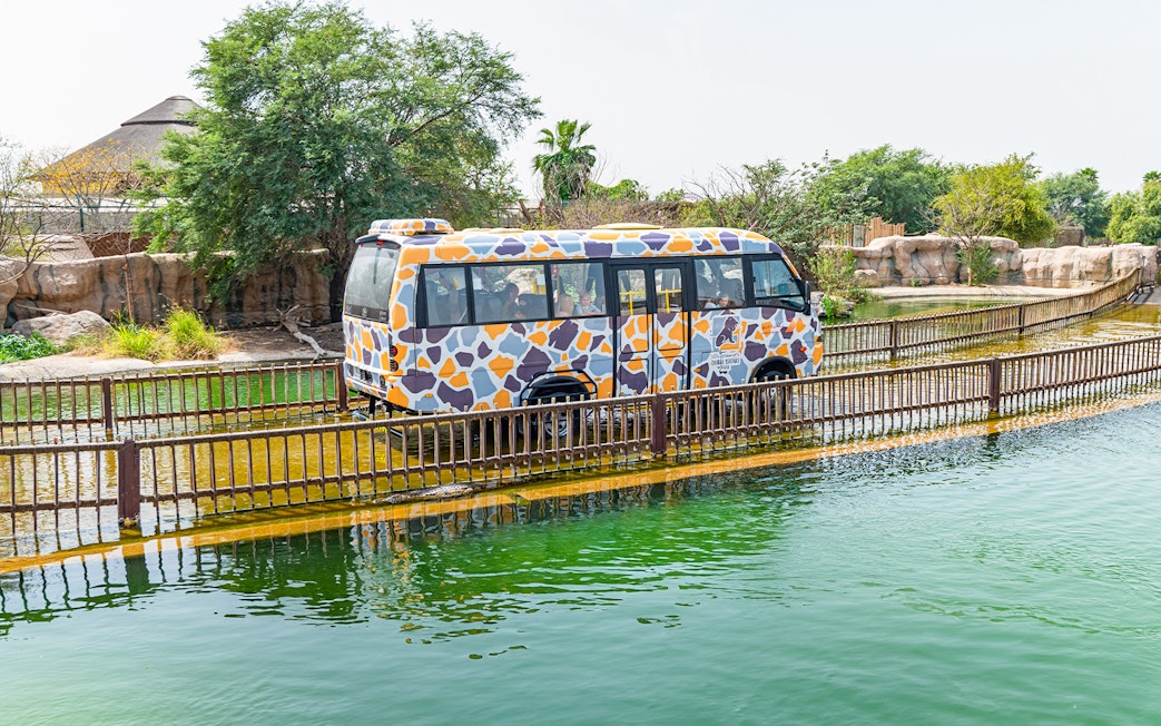 Safari-themed bus on waterway at Dubai Safari Park Explorer Safari.
