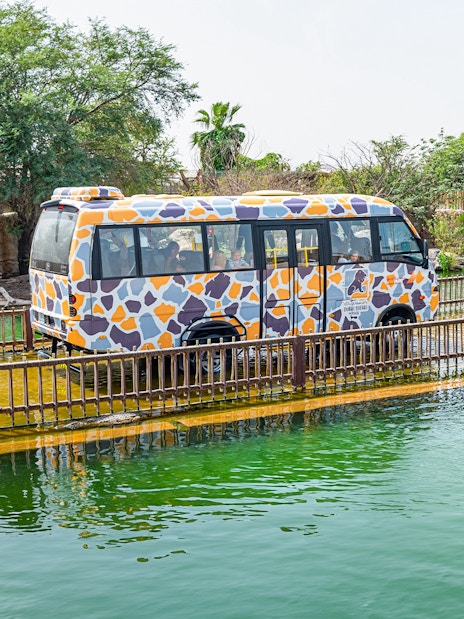 Safari-themed bus on waterway at Dubai Safari Park Explorer Safari.