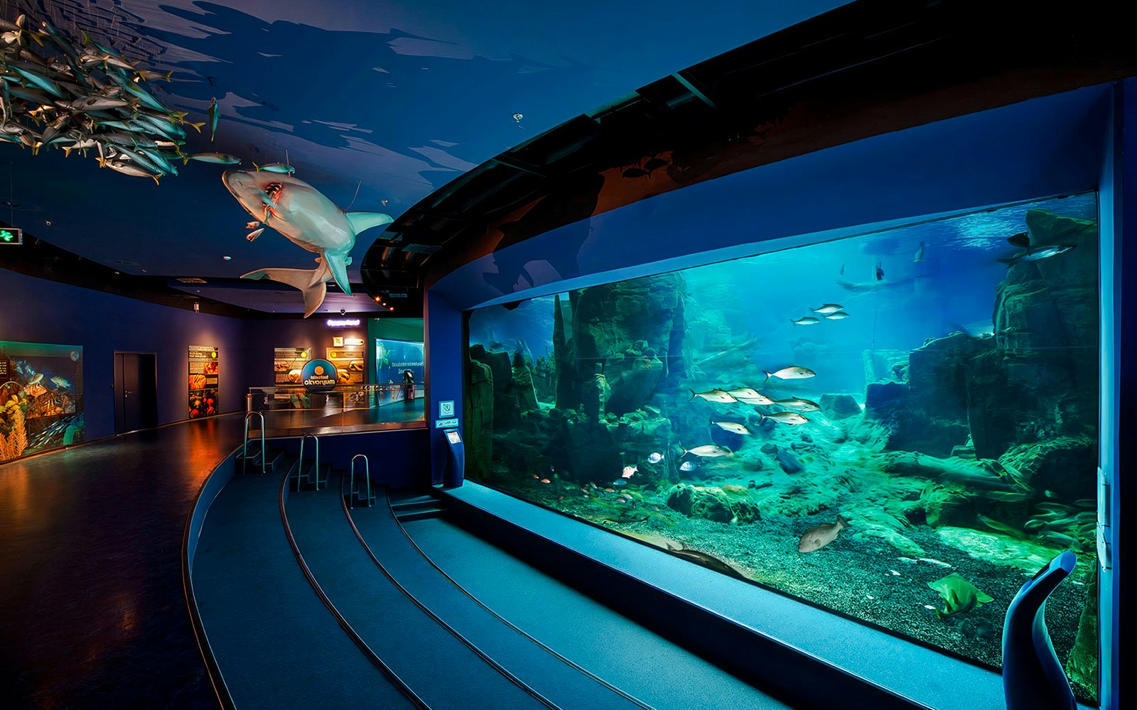 Istanbul Aquarium