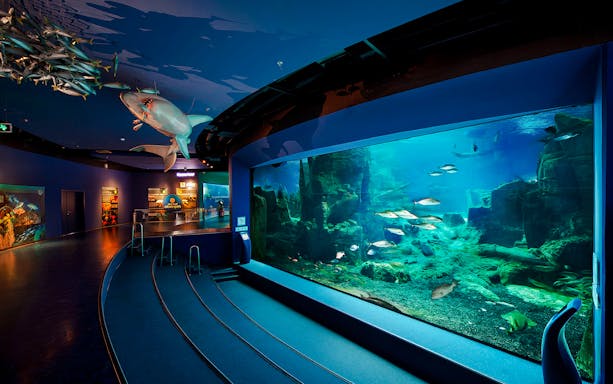 schnelleinlass-tickets für das istanbul aquarium inklusive shuttle-transfer (hin- und rückfahrt) ab sultanahmet-2