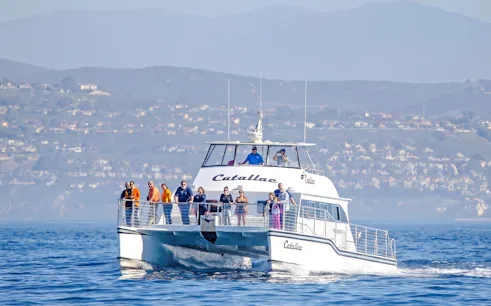 Catamaran with tourists on a whale watching cruise near coastal hills.