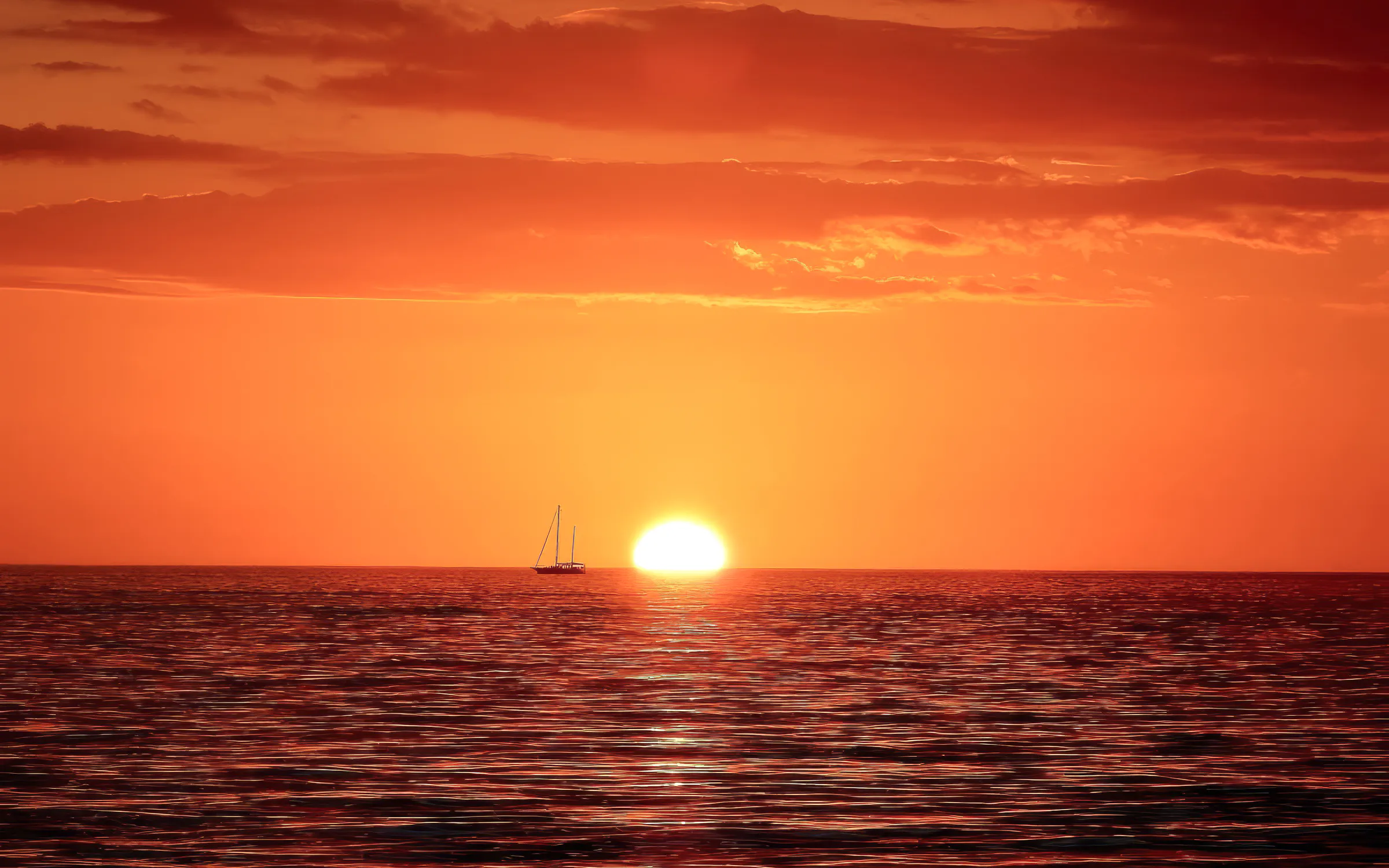 From Fažana: Private Sunset Dolphin Safari Cruise around Brijuni Islands Image 6
