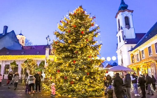 Szentendre Christmas Market with decorated tree and people enjoying the festive atmosphere.
