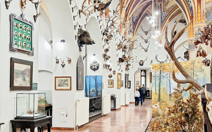Vajdahunyad Castle museum interior with mounted antlers and wildlife exhibits, Budapest, Hungary.