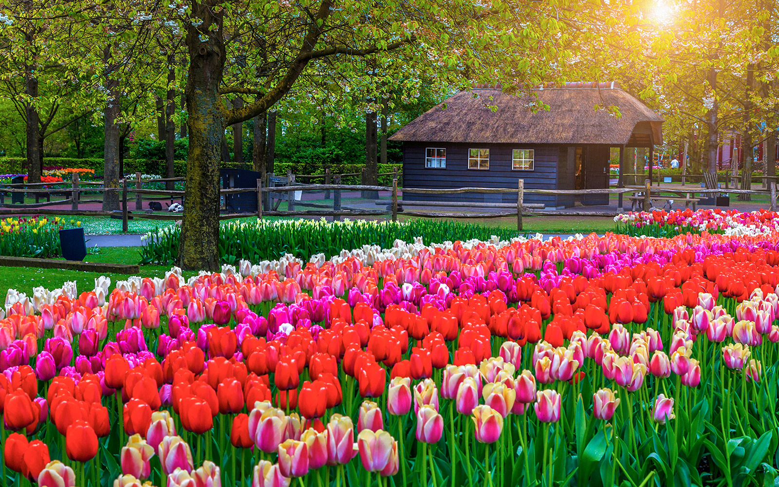 keukenhof opening hours