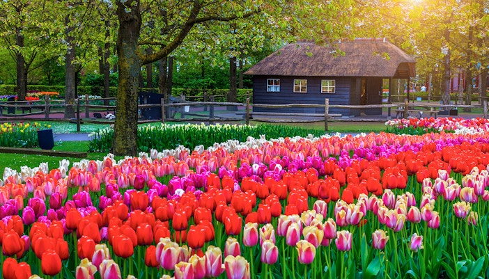 keukenhof opening hours