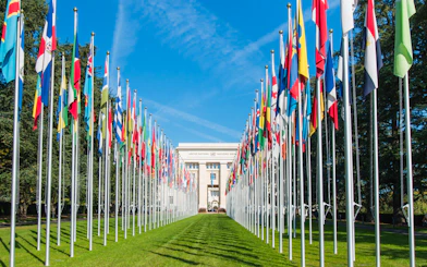 United Nations flags in front of the Palais des Nations, Geneva.