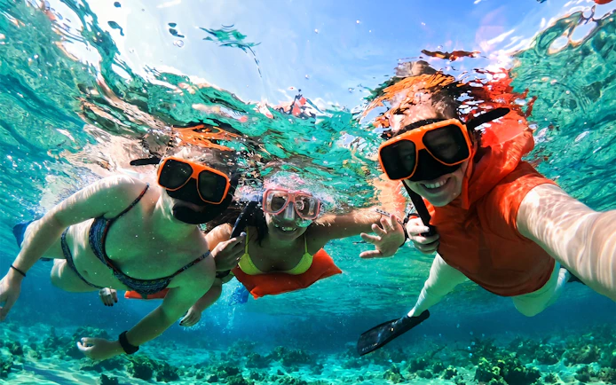 Snorkelers underwater at Rose Island, enjoying a day trip with swimming and snorkeling activities.