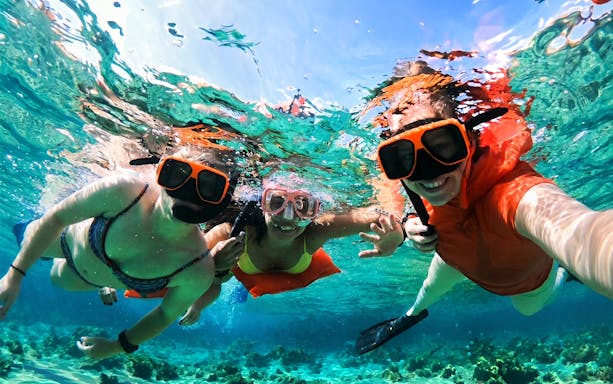 Snorkelers underwater at Rose Island, enjoying a day trip with swimming and snorkeling activities.