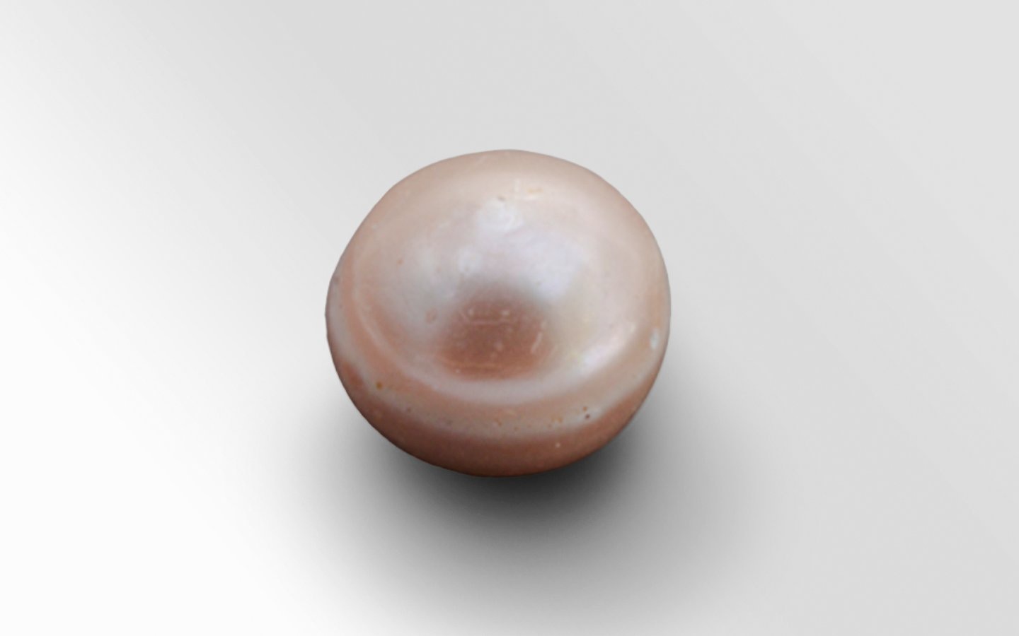 Abu Dhabi pearl displayed at Zayed National Museum.