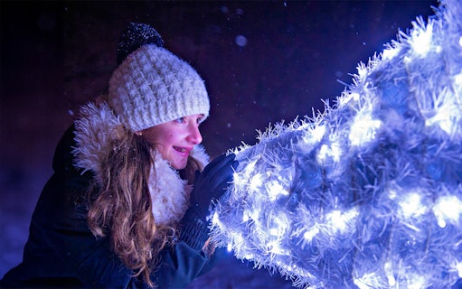 Child admiring illuminated tree at Niagara Festival of Lights.