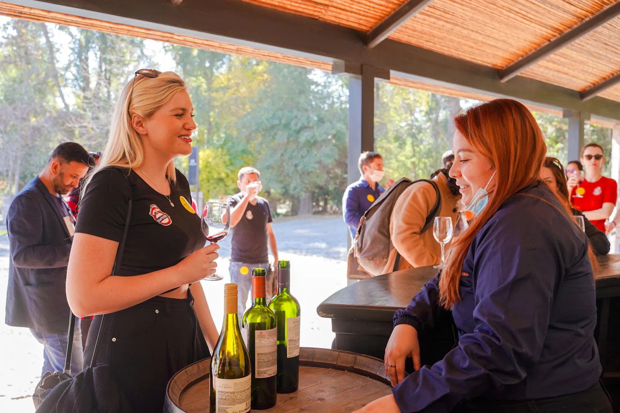 Visitors enjoying wine tasting at Concha y Toro Winery, Santiago.