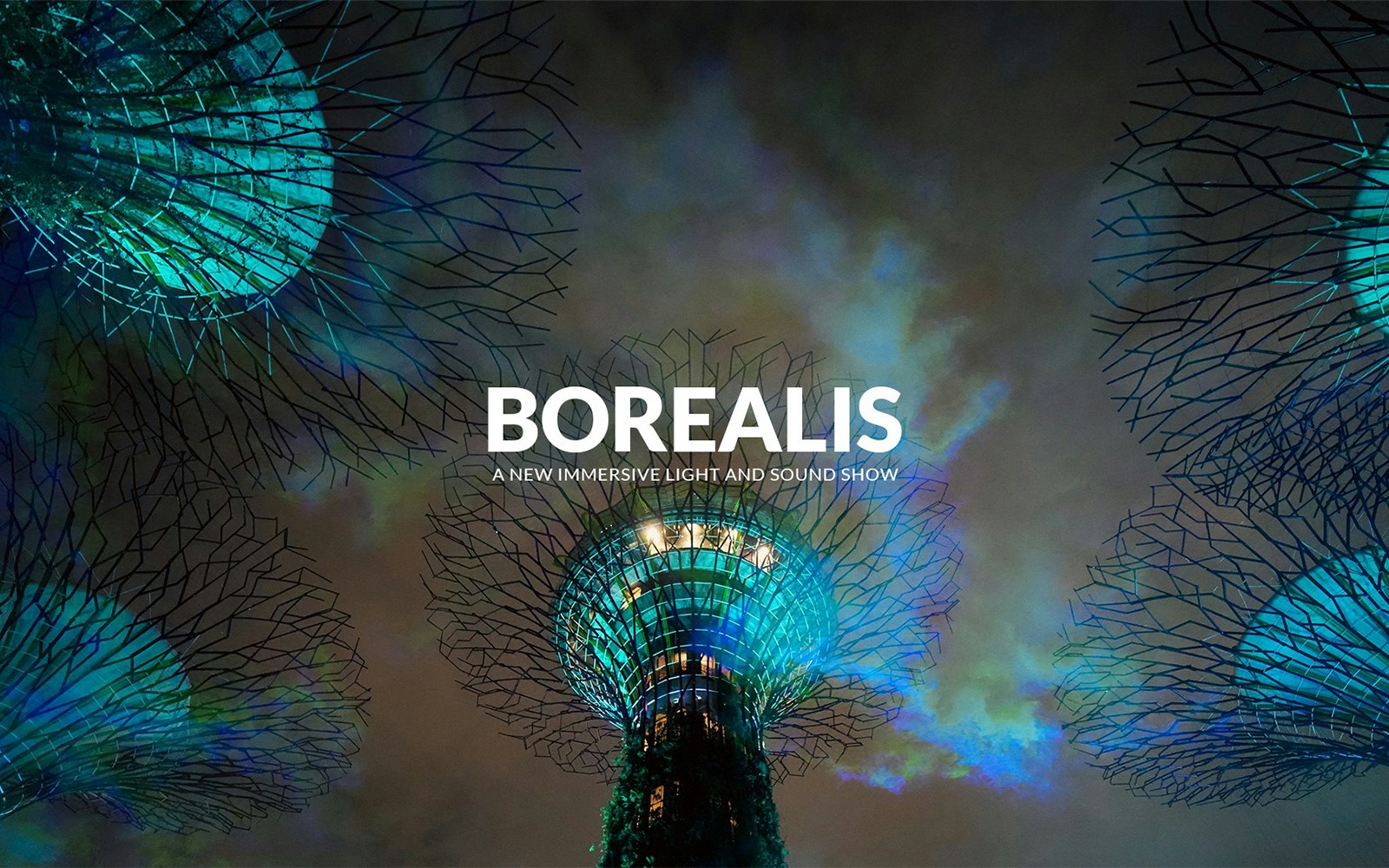 Borealis light show at Gardens By The Bay, Singapore with illuminated Supertrees.