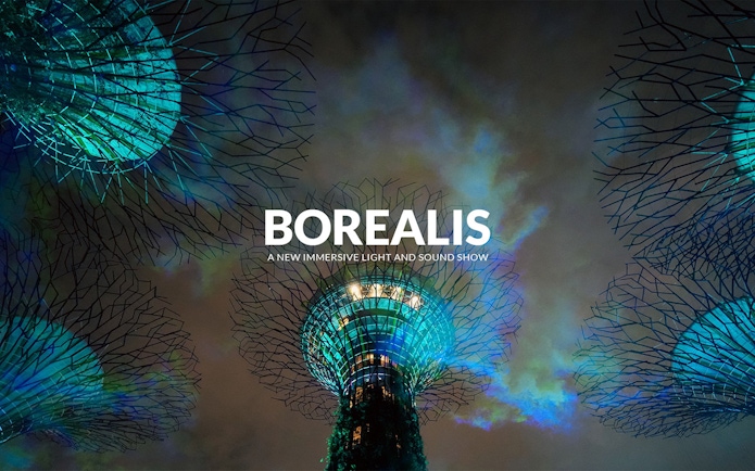 Borealis light show at Gardens By The Bay, Singapore with illuminated Supertrees.