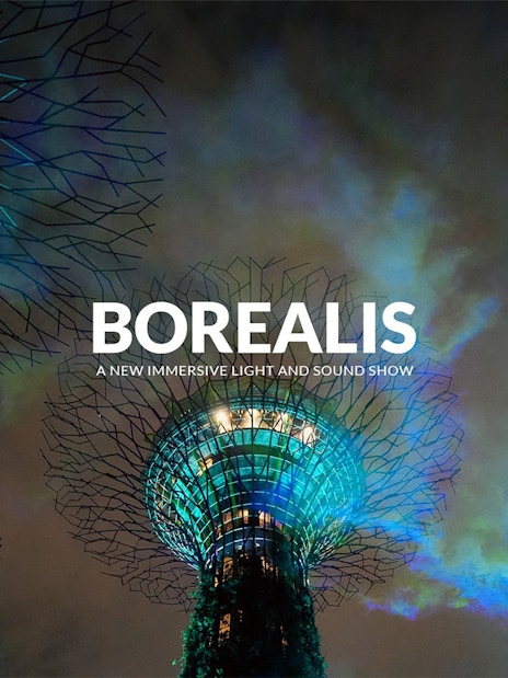 Borealis light show at Gardens By The Bay, Singapore with illuminated Supertrees.