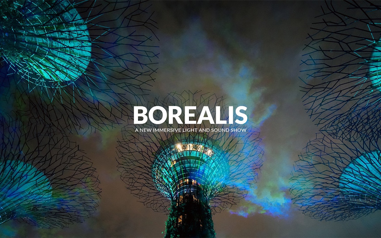Borealis light show at Gardens By The Bay, Singapore with illuminated Supertrees.