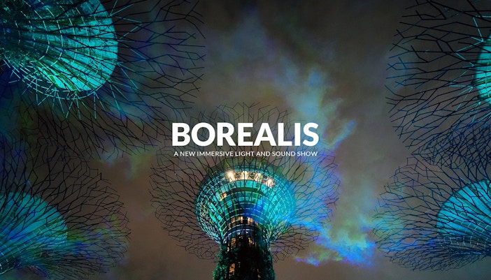Borealis light show at Gardens By The Bay, Singapore with illuminated Supertrees.