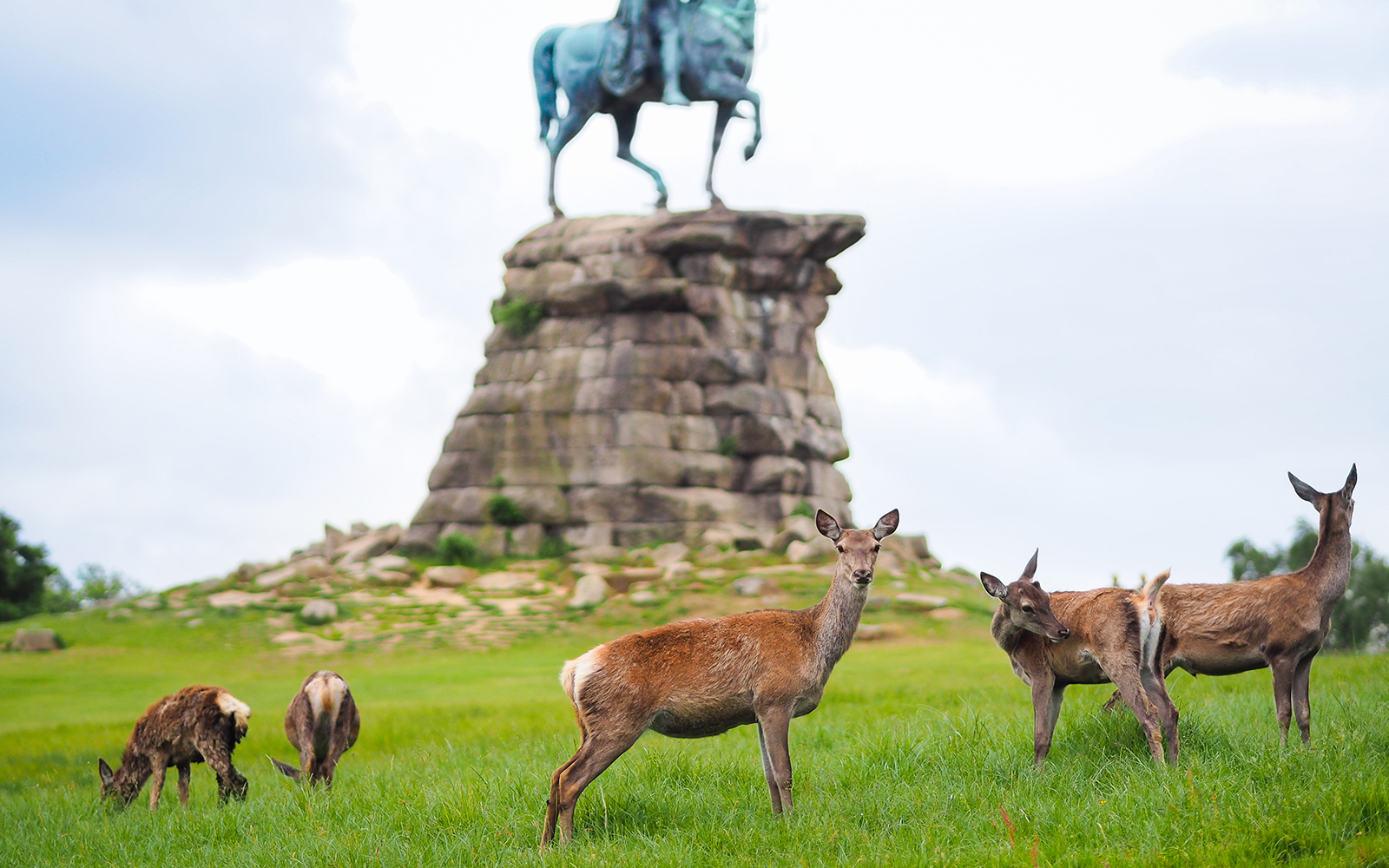 legoland windsor resort