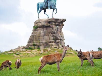 legoland windsor resort