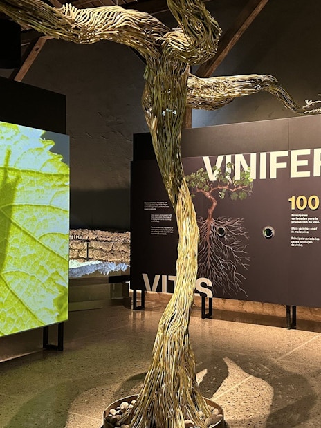 Interactive exhibit at Viña Concha y Toro Wine Center, Pirque, Chile, showcasing vine growth and wine production.