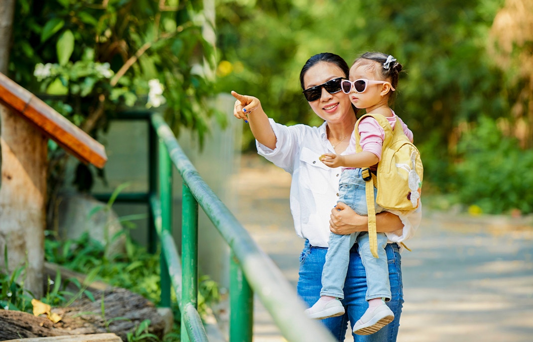 Peak Season vs Low Season