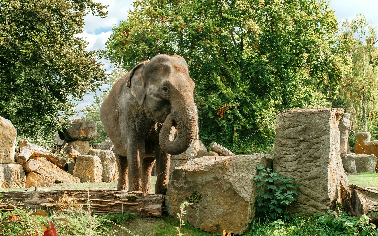 Bali Safari And Marine Park Tickets