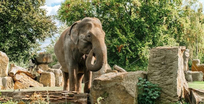 Prague Zoo