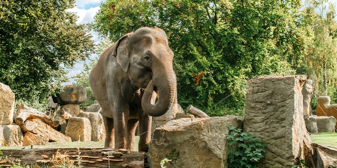 Zoo de Prague