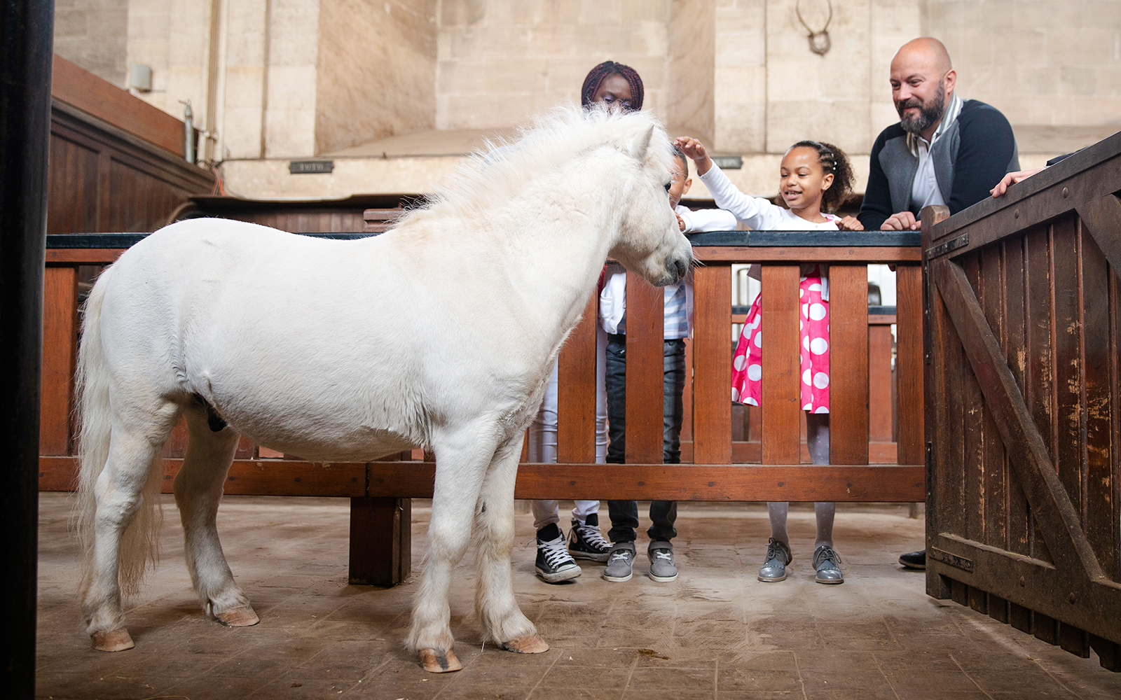 Visitors petting a white pony at the stables of Chateau of Chantilly.