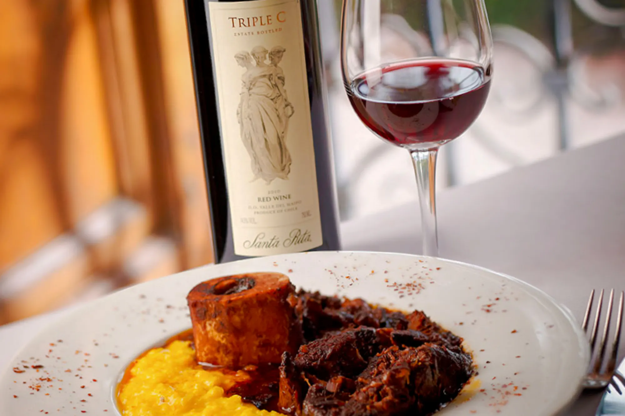 Santa Rita wine bottle and glass with gourmet meal, Santiago vineyard tour.