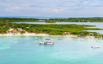 Catamaran anchored near a lush island beach in Cartagena, with small boats and clear blue water.