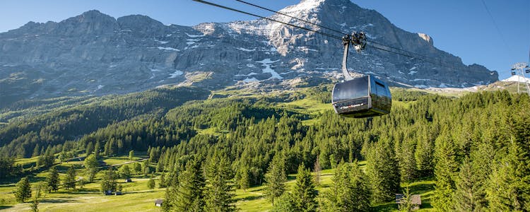 Panoramic Views of Bernese Alps