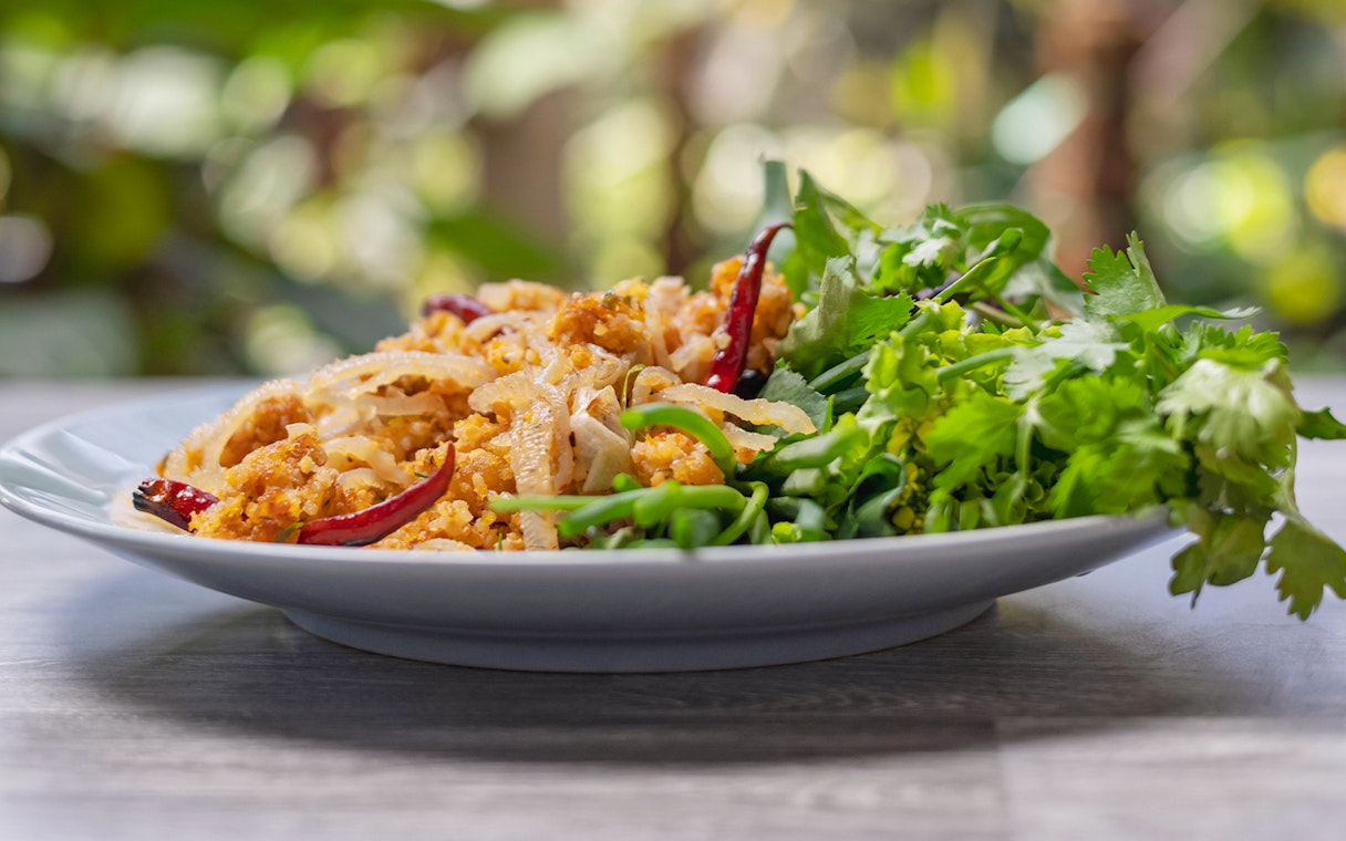 Traditional Thai dish with herbs and spices served at Elephant Jungle Sanctuary, Chiang Mai.