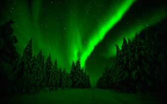 Northern Lights over snowy forest in Rovaniemi, Finland.
