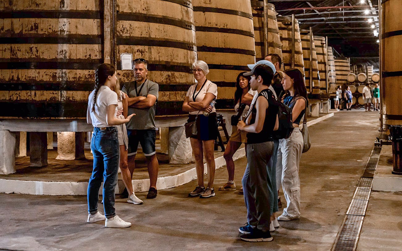 Tour group listening to a guide in a wine cellar during Visita Clássica.