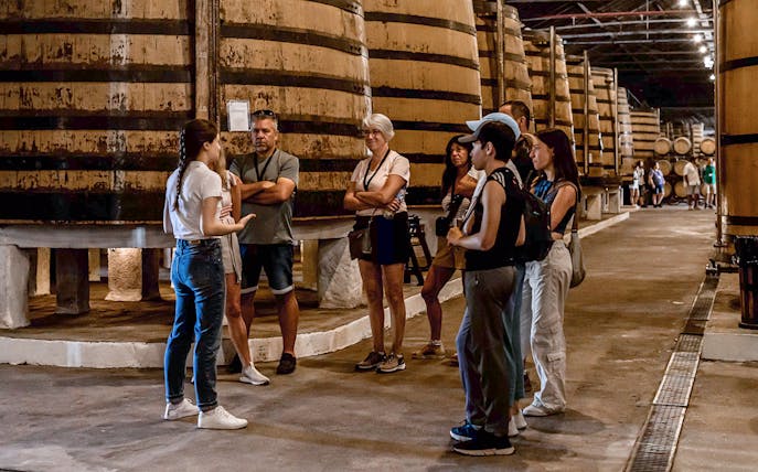Tour group listening to a guide in a wine cellar during Visita Clássica.