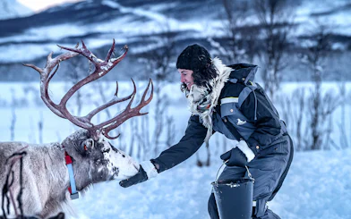 Person feeding a reindeer in snowy Tromso landscape.