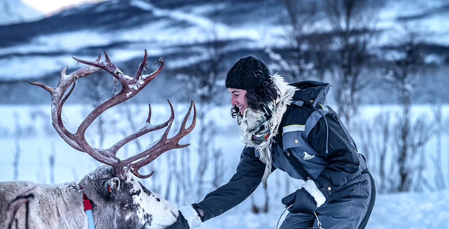 Person feeding a reindeer in snowy Tromso landscape.