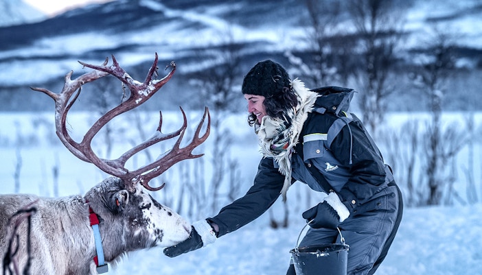 Person feeding a reindeer in snowy Tromso landscape.