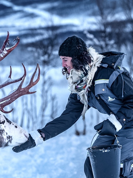Person feeding a reindeer in snowy Tromso landscape.