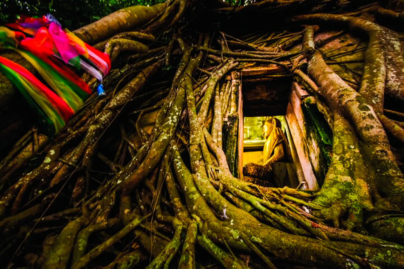 Buddha statue surrounded by tree roots at Amphawa Floating Markets tour.
