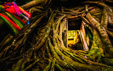 Buddha statue surrounded by tree roots at Amphawa Floating Markets tour.