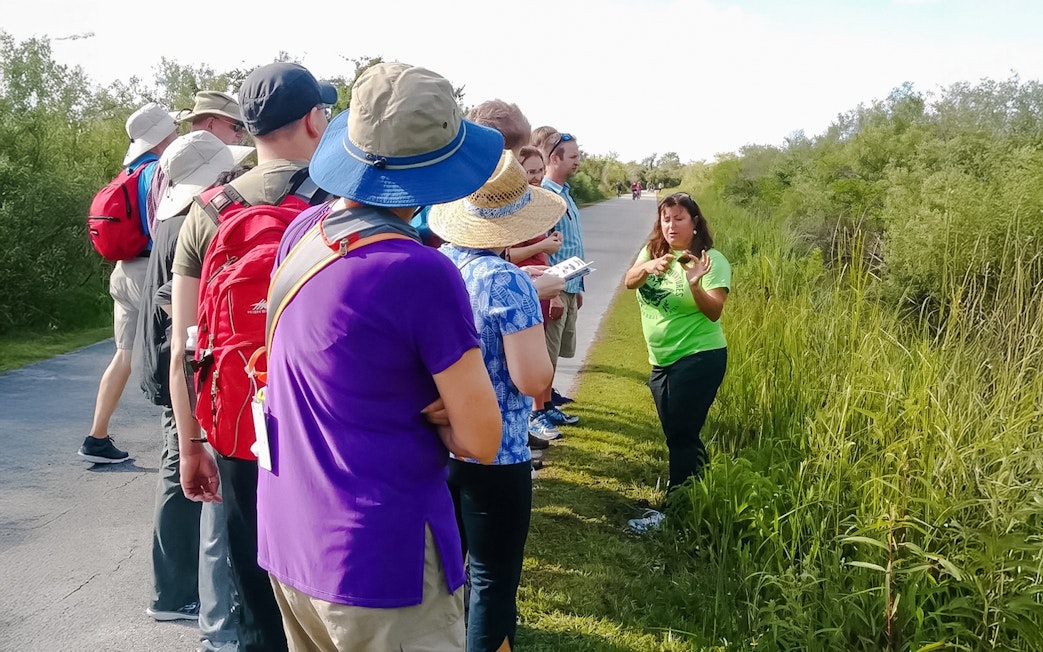 Tour guide explaining flora to guests on Everglades nature trail.